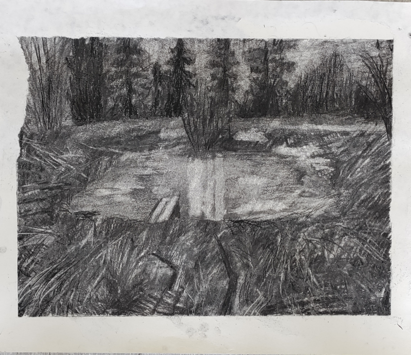 Healing Places, 35,5 × 42 cm, kol på papper, 2025. Foto: Silja Uuttula